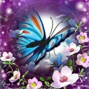 Meet your Posher, Gloria